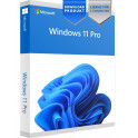 Windows 10 | 11 Pro - 32/64-Bit