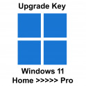 Windows 11 Pro upgrade licence