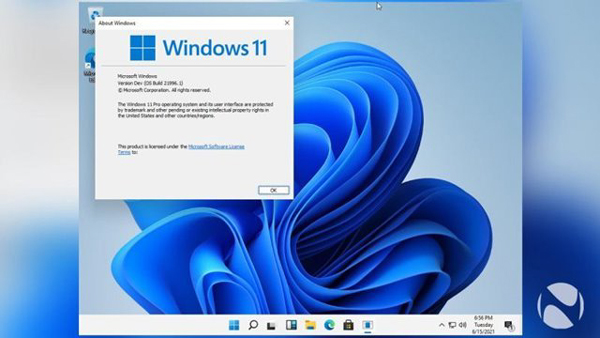 Windows 11